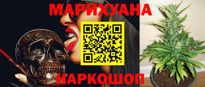 сатива Краснодар