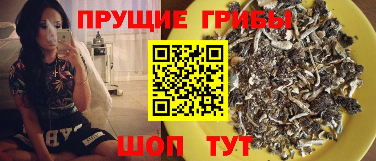 Галлюциногенные грибы Psilocybine cubensis  Вход с VPN  Ейск 